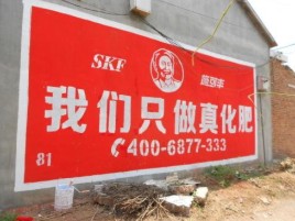洛南刷墙广告”蕴含了时代命题