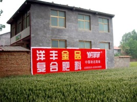 洛南如何让墙体广告展现最大化效果
