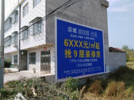 洛南墙体广告质量分析