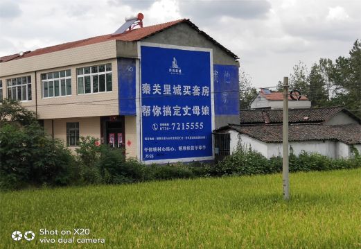 洛南决定墙体广告价格的因素有哪些？