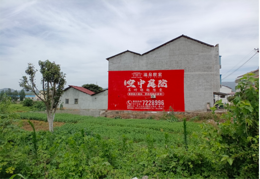 洛南做墙体广告的意义