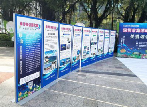 洛南KT板的种类和知识。